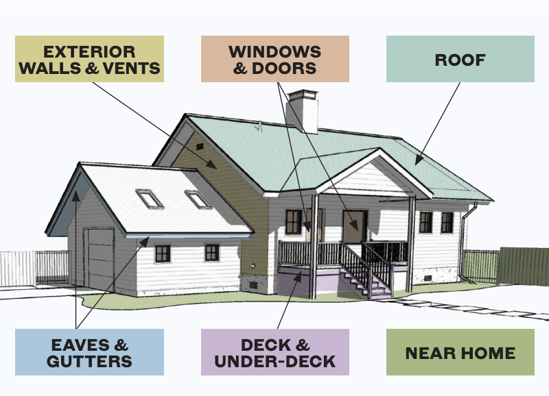 illustration of a home